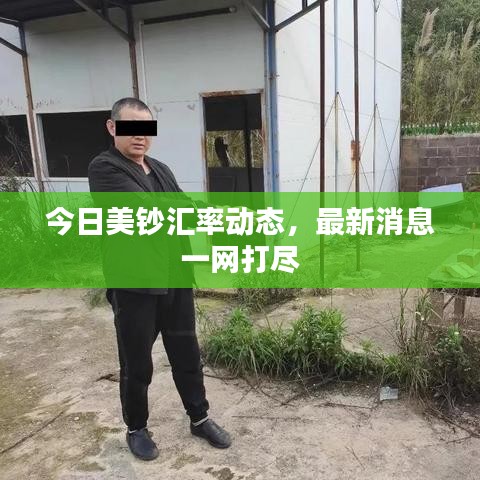 今日美钞汇率动态，最新消息一网打尽