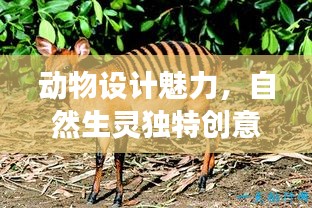 动物设计魅力，自然生灵独特创意展现