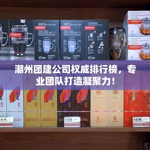 潮州团建公司权威排行榜，专业团队打造凝聚力！