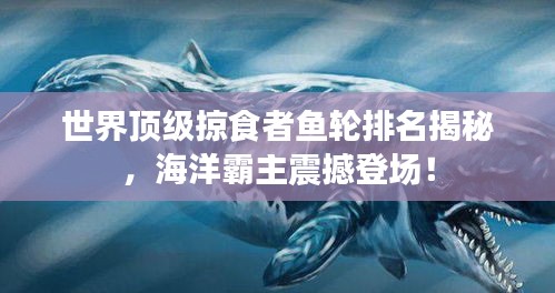 世界顶级掠食者鱼轮排名揭秘，海洋霸主震撼登场！