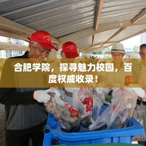 合肥学院，探寻魅力校园，百度权威收录！