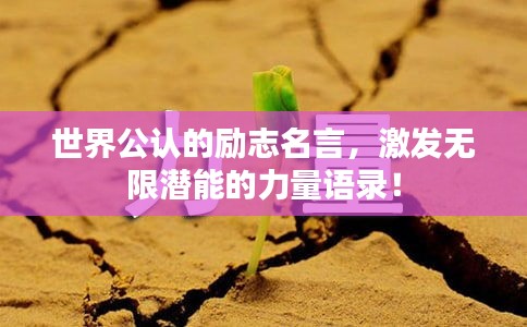 雍容典雅