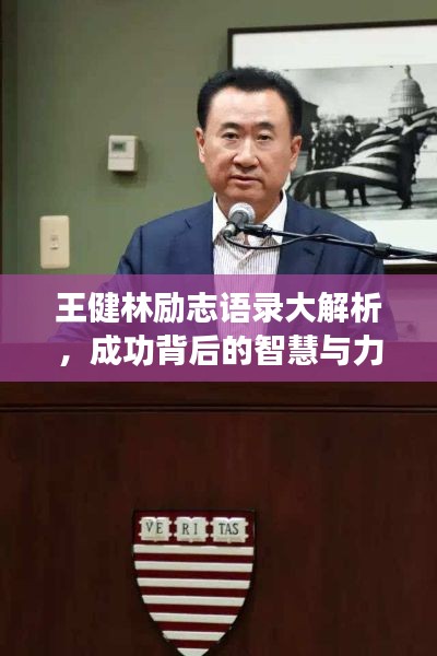 王健林励志语录大解析，成功背后的智慧与力量