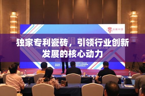 独家专利瓷砖，引领行业创新发展的核心动力