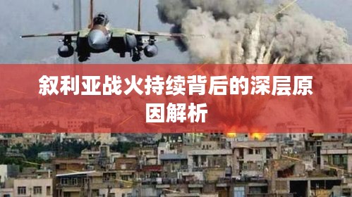联系我们 第13页