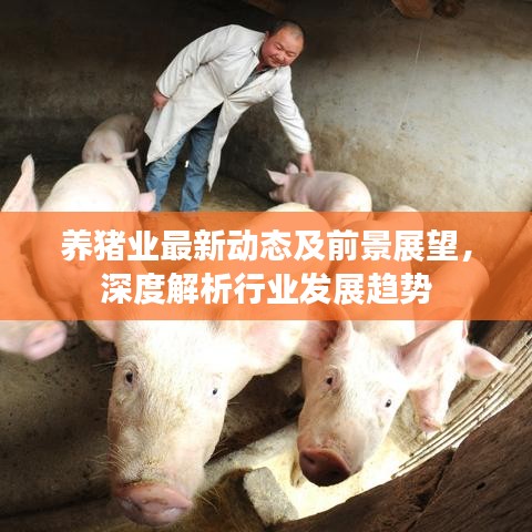 养猪业最新动态及前景展望，深度解析行业发展趋势