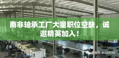 南非轴承工厂大量职位空缺，诚邀精英加入！