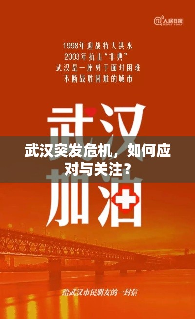 武汉突发危机，如何应对与关注？