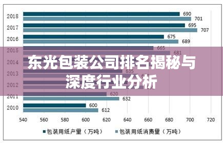 东光包装公司排名揭秘与深度行业分析