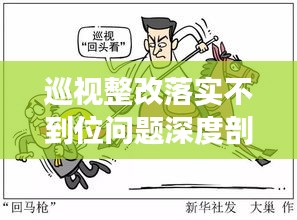 巡视整改落实不到位问题深度剖析