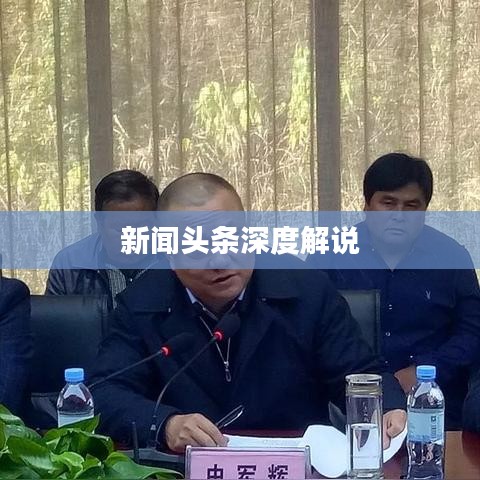 新闻头条深度解说