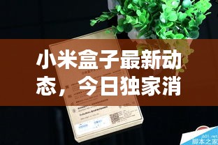 小米盒子最新动态，今日独家消息揭秘！