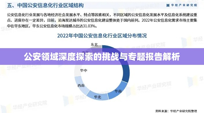 公安领域深度探索的挑战与专题报告解析