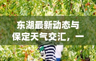 技术支持 第10页