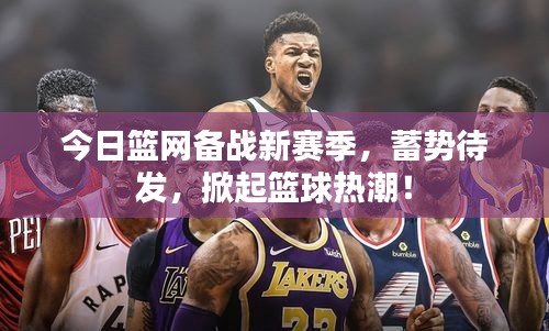 今日篮网备战新赛季，蓄势待发，掀起篮球热潮！