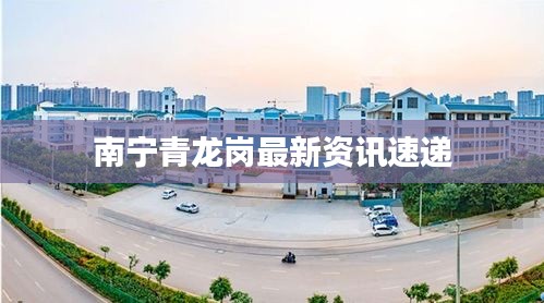 南宁青龙岗最新资讯速递