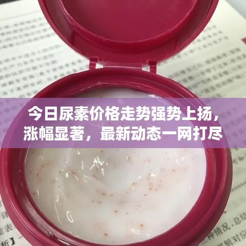 今日尿素价格走势强势上扬，涨幅显著，最新动态一网打尽
