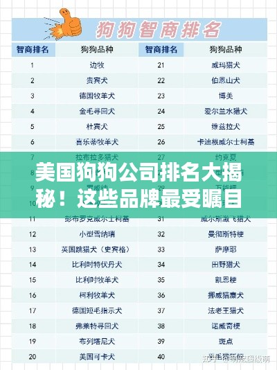 美国狗狗公司排名大揭秘！这些品牌最受瞩目！