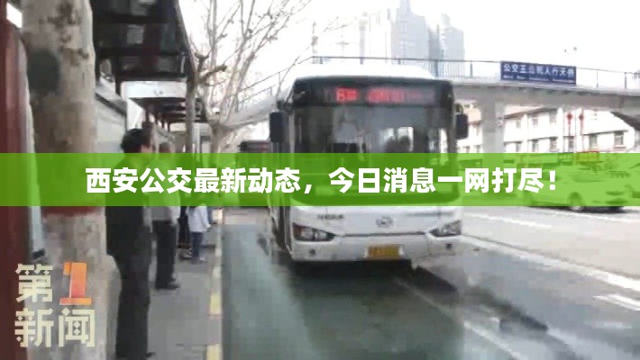西安公交最新动态，今日消息一网打尽！