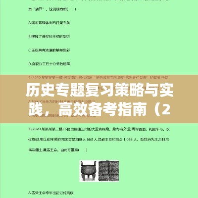 历史专题复习策略与实践，高效备考指南（2022年深度解析）