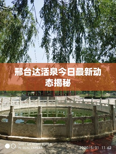 邢台达活泉今日最新动态揭秘