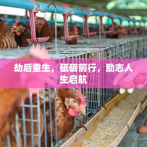貌美如花