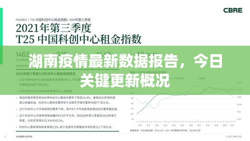 光明磊落