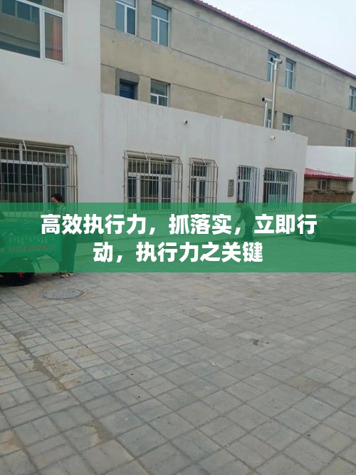 高效执行力，抓落实，立即行动，执行力之关键