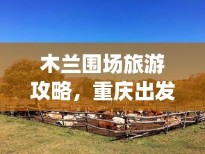 联系我们 第7页