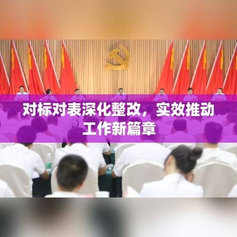 对标对表深化整改，实效推动工作新篇章