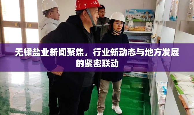 无棣盐业新闻聚焦，行业新动态与地方发展的紧密联动