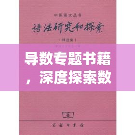 导数专题书籍，深度探索数学之美的奥秘之旅