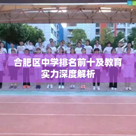 合肥区中学排名前十及教育实力深度解析