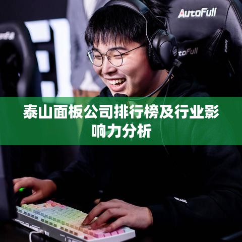 泰山面板公司排行榜及行业影响力分析