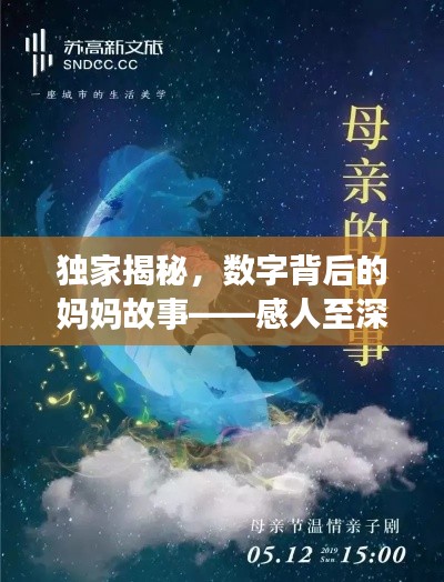 独家揭秘，数字背后的妈妈故事——感人至深的母爱之旅