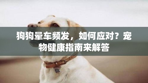 张灯结彩