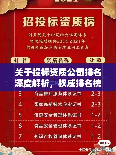 关于投标资质公司排名深度解析，权威排名榜单揭晓
