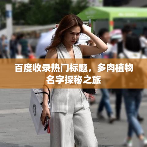 百度收录热门标题，多肉植物名字探秘之旅