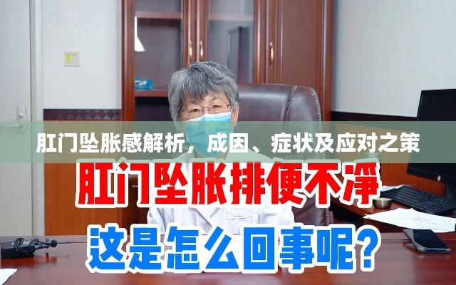 将陋就简