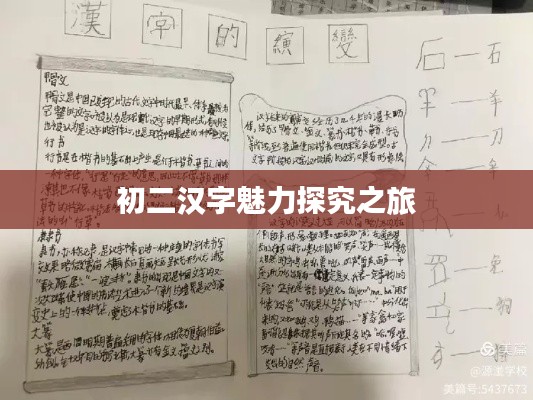 初二汉字魅力探究之旅