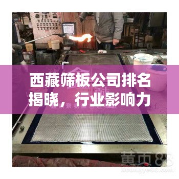 西藏筛板公司排名揭晓，行业影响力不容小觑