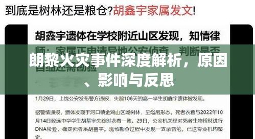 朗黎火灾事件深度解析，原因、影响与反思