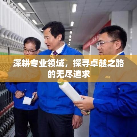 深耕专业领域，探寻卓越之路的无尽追求