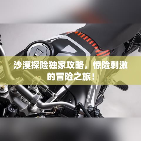 沙漠探险独家攻略，惊险刺激的冒险之旅！