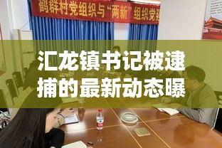 汇龙镇书记被逮捕的最新动态曝光