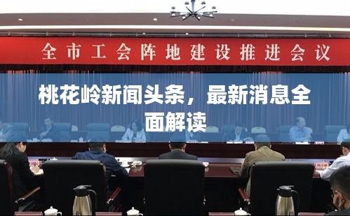 桃花岭新闻头条，最新消息全面解读