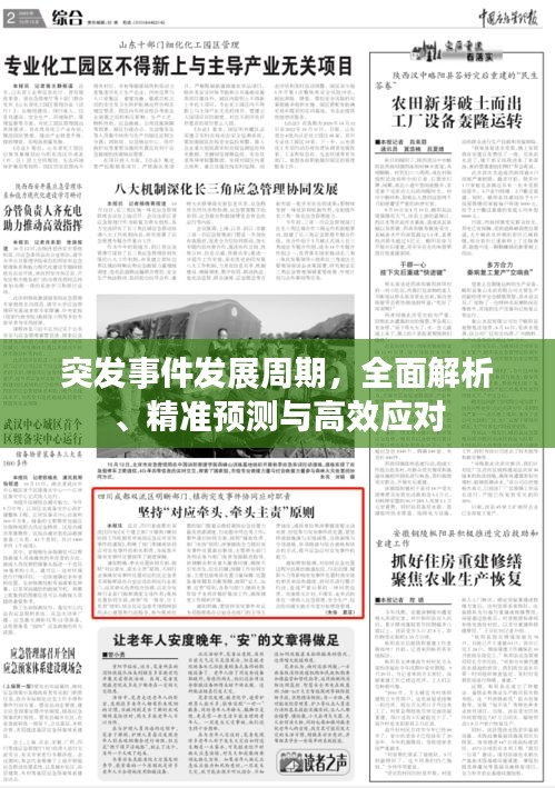 突发事件发展周期，全面解析、精准预测与高效应对