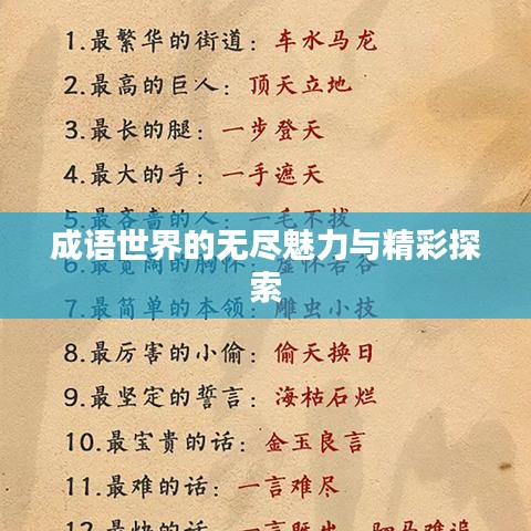 成语世界的无尽魅力与精彩探索