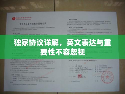 独家协议详解，英文表达与重要性不容忽视