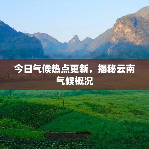 今日气候热点更新，揭秘云南气候概况